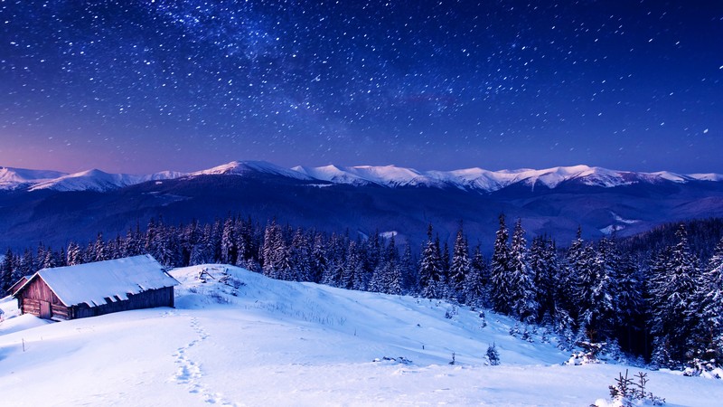Mountains, 4k, night, stars, trees, sky, snow