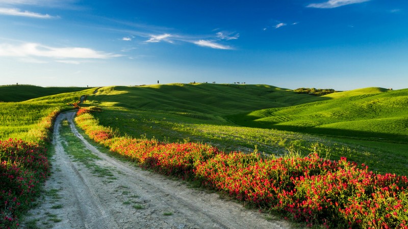 Tuscany, 4k, Italy, Meadows, road, wildflowers, sky