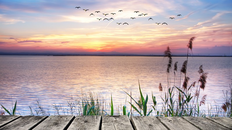 Pierce, 4k, sea, river, sunset, reed