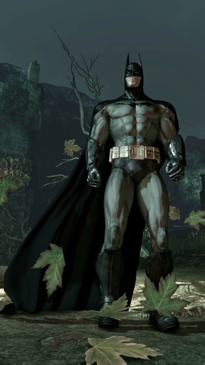 Video Game Batman: Arkham Asylum, Batman, 1080x1920