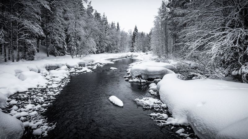 snow, river, forest, trees, 4k