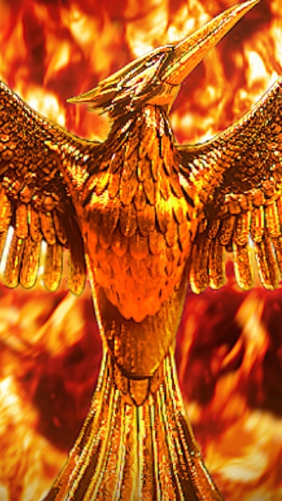 Movie The Hunger Games: Mockingjay - Part 2, 1080x1920