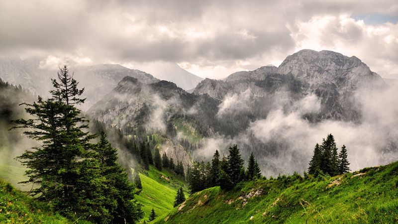 fog, mountains, forest, peaks, grass, 4k