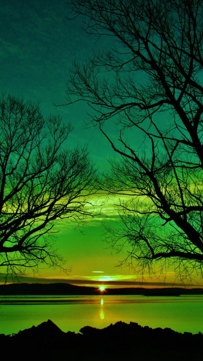 Earth Sunset, Lake, Silhouette, Tree, Green, 1080x1920