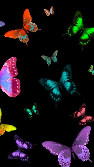 Artistic Butterfly, Colors, Colorful, 1080x1920