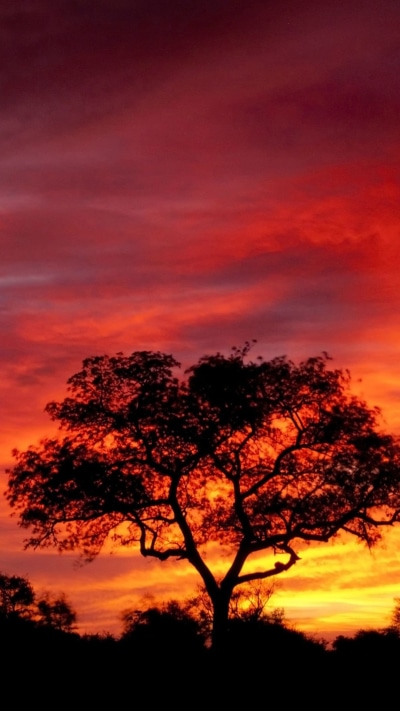 Earth Sunset, South Africa, Orange (Color), Silhouette, Nature, Sky, 1080x1920