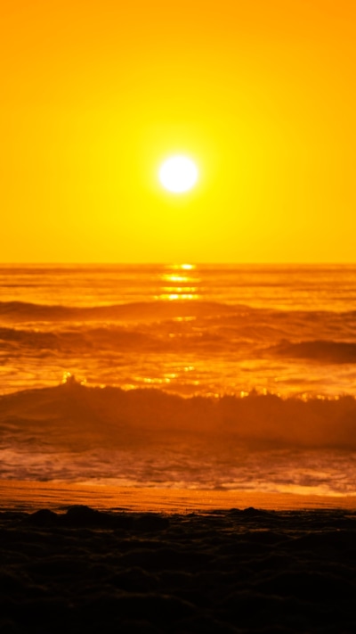 Earth Sunset, Landscape, Nature, Dog, Beach, Earth, 1080x1920
