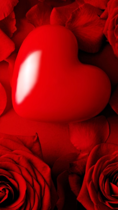 Earth Rose, Flower, Red Rose, Heart, Love, Red Flower, 1080x1920