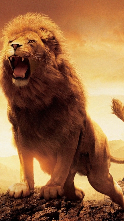 Movie The Chronicles of Narnia: The Lion, the Witch and the Wardrobe, The Chronicles Of Narnia, Lion, Aslan, 1080x1920
