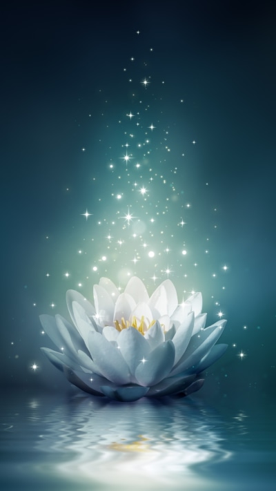 Artistic Flower, Water Lily, Water, Light, 1080x1920