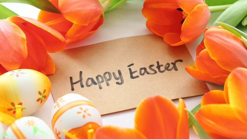Easter, flowers, tulip