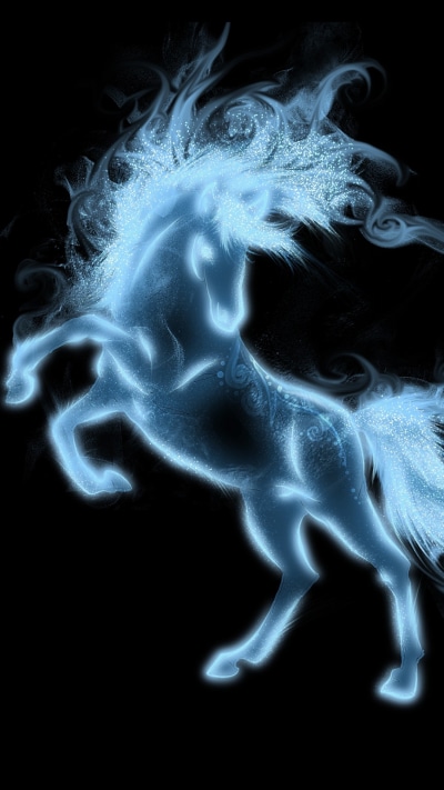Animal Horse, 1080x1920