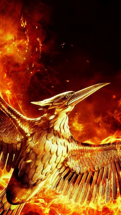 Movie The Hunger Games: Mockingjay - Part 2, 1080x1920