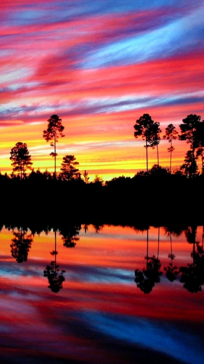 Earth Sunset, Colorful, Tree, Reflection, 1080x1920