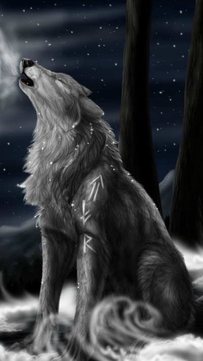 Animal Wolf, 1080x1920