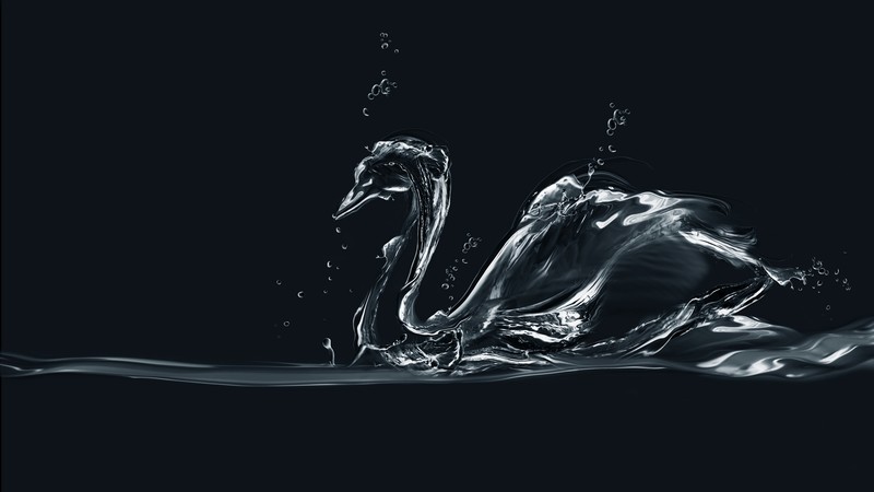 Swan, drops, art