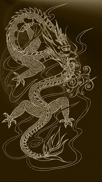 Fantasy Dragon, 1080x1920