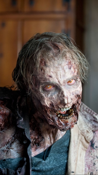TV Show The Walking Dead, Zombie, 1080x1920