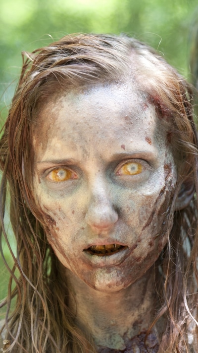 TV Show The Walking Dead, Zombie, 1080x1920