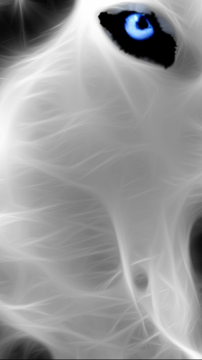 Animal Wolf, 1080x1920
