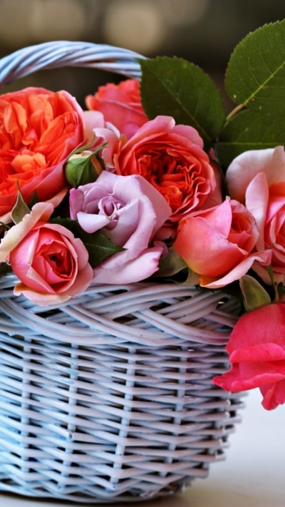 Man Made Flower, Basket, Rose, Pink Flower, 1080x1920