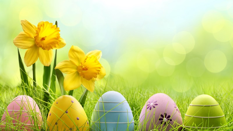 Easter, spring, flowers, eggs, basket