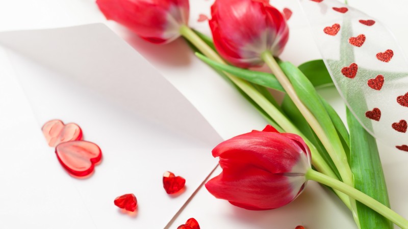Tulip, 4K, spring, flower, red, heart
