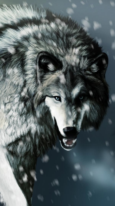 Animal Wolf, 1080x1920