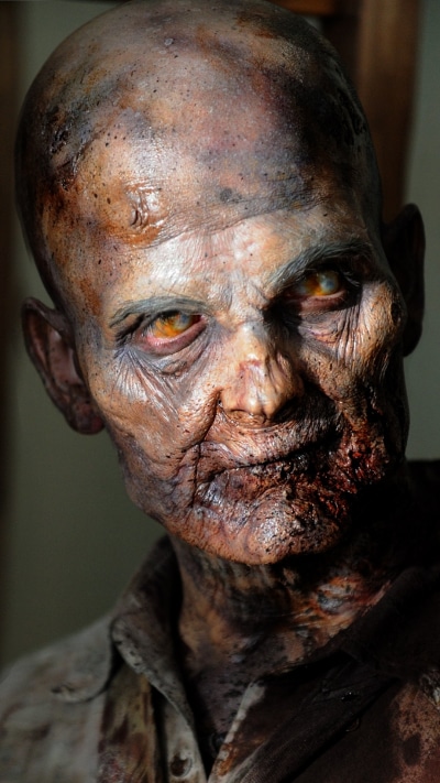 TV Show The Walking Dead, 1080x1920
