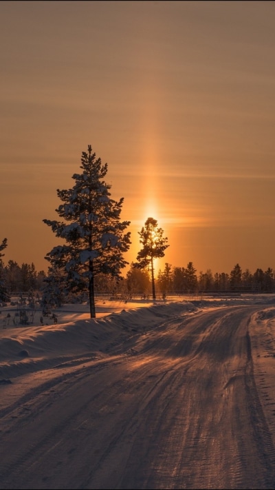 Earth Sunset, Winter, Tree, Road, Fir Tree, 1080x1920