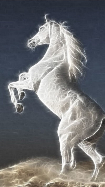 Animal Horse, White, Fractal, Stallion, 1080x1920