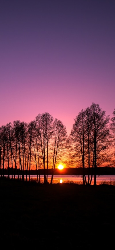Earth Sunset, Nature, 828x1792