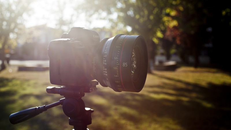 Canon EOS C500, digital, camera, professional camera, photo, 4K, review, nature