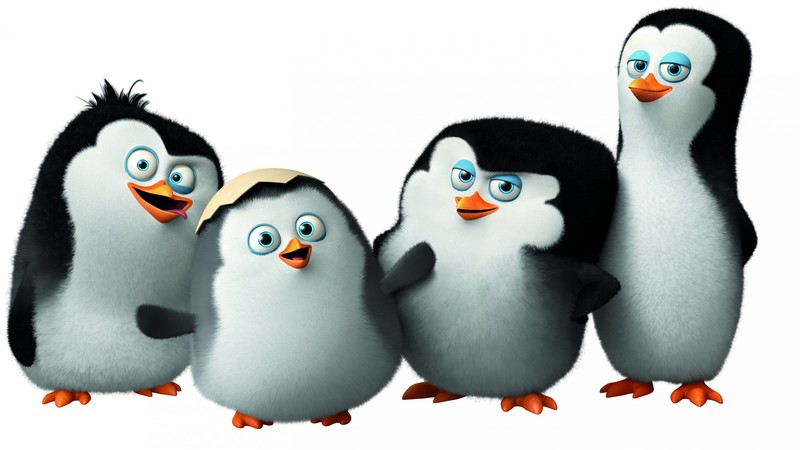 Penguins of Madagascar, cute penguin, cartoon, Madagascar, funny, Skipper, Kowalski, Rico, Private, watch, HD, Best Animation Movies of 2015