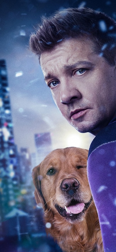 TV Show Hawkeye, Lucky The Pizza Dog, Jeremy Renner, Clint Barton, 828x1792