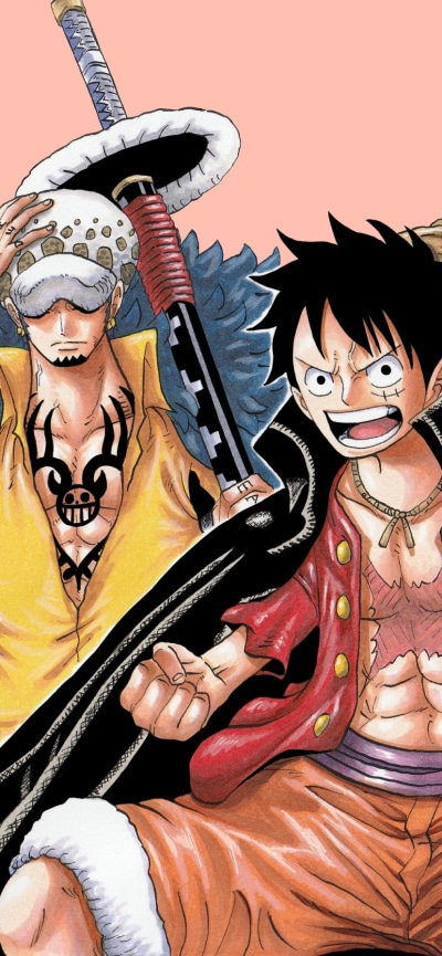 Anime One Piece, One Piece: Two Years Later, Trafalgar Law, Monkey D. Luffy, 828x1792