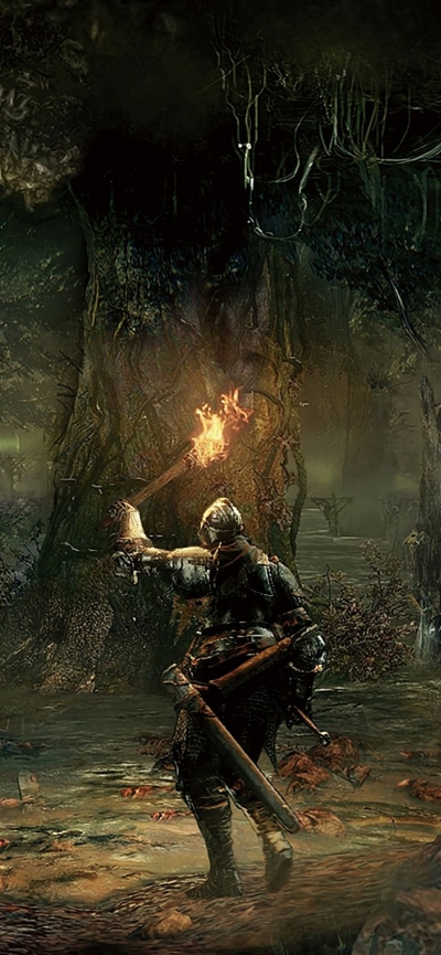 Video Game Dark Souls III, 828x1792