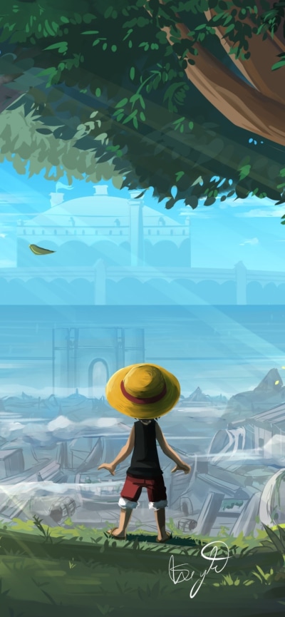 Anime One Piece, Monkey D. Luffy, 828x1792