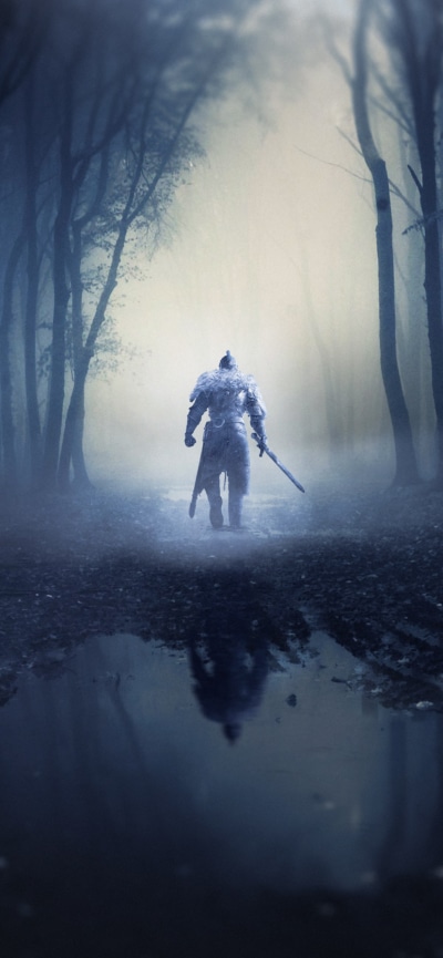 Video Game Dark Souls, Sword, 828x1792