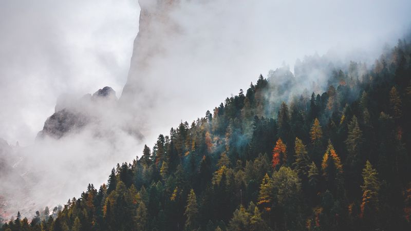 mountain, peak, clouds, forest, 4k