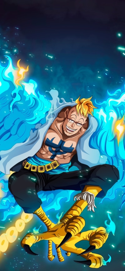 Anime One Piece, Marco (One Piece), 828x1792