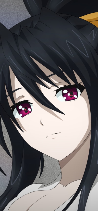 Anime High School DxD, Akeno Himejima, 828x1792