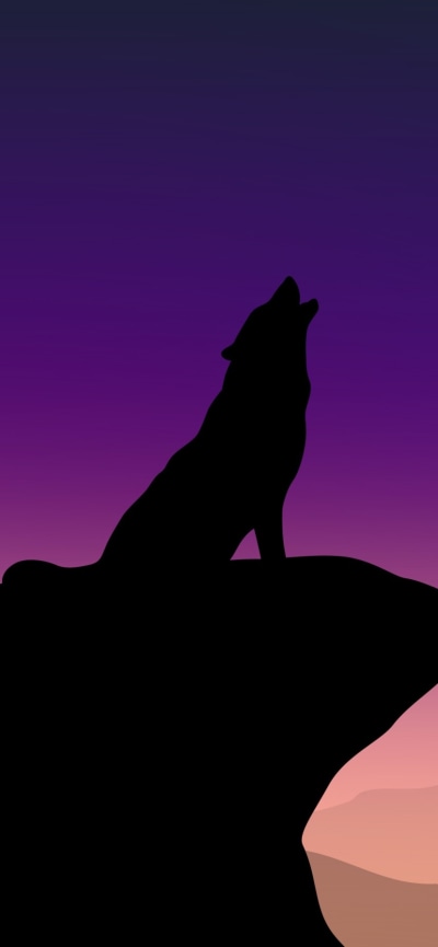 Animal Wolf, Sky, Night, Silhouette, 828x1792
