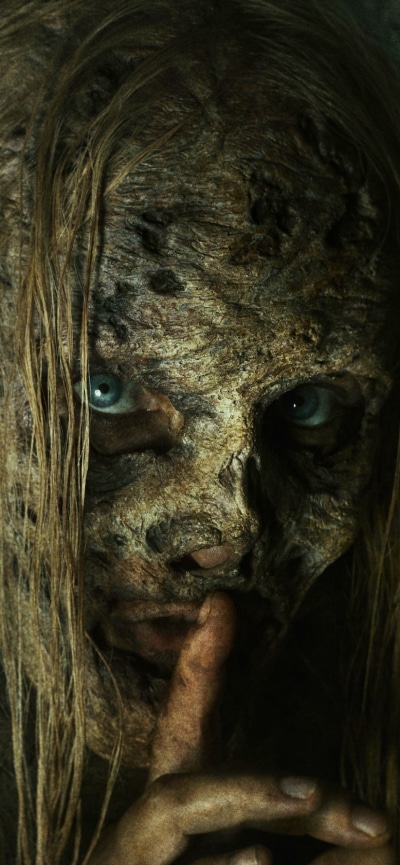 TV Show The Walking Dead, 828x1792