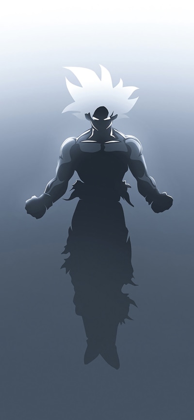 Anime Dragon Ball Super, Goku, Ultra Instinct (Dragon Ball), 828x1792
