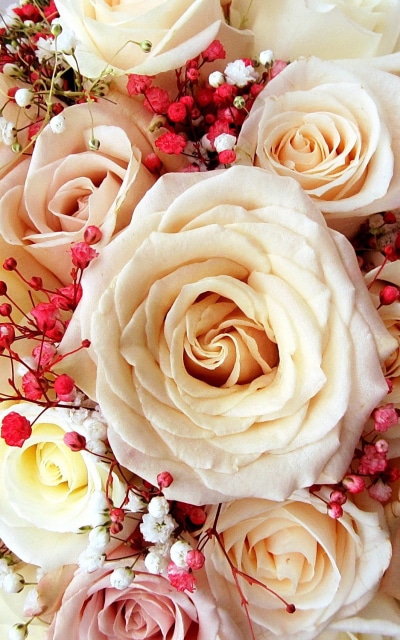 Man Made Flower, Bouquet, White Flower, Rose, White Rose, 800x1280
