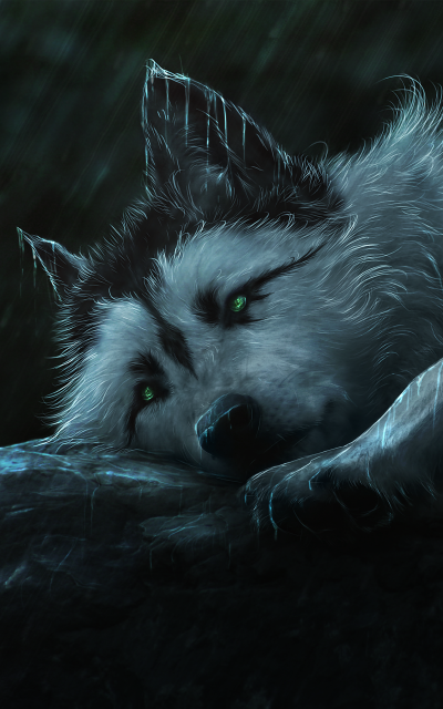 Fantasy Wolf, Rain, 800x1280