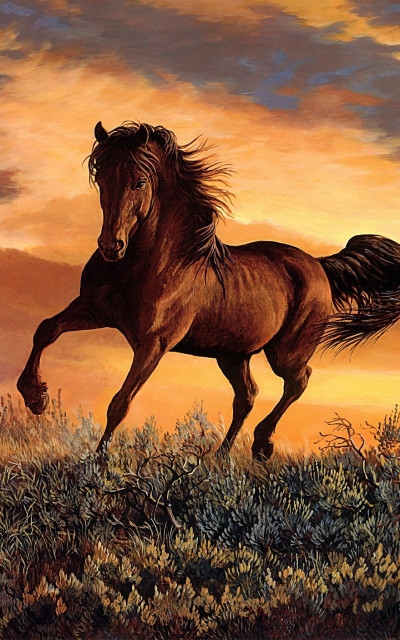 Animal Horse, Painting, 800x1280