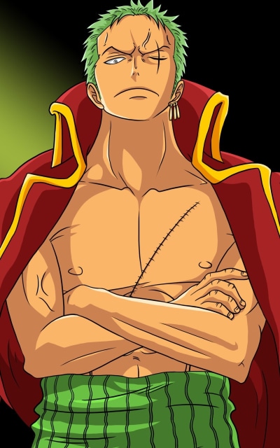 Anime One Piece, Roronoa Zoro, 800x1280