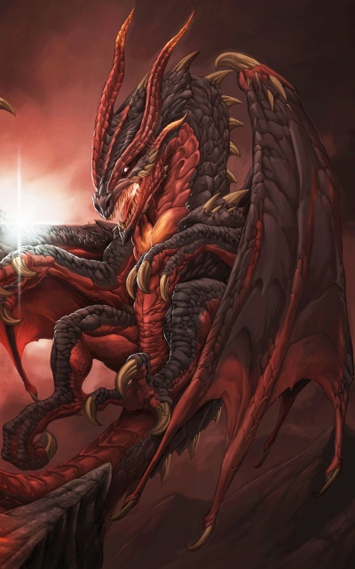 Fantasy Dragon, 800x1280